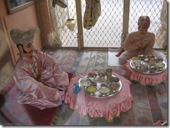 jaipur1 134 jaipur1 134