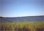 View to Punkaharju