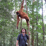 Dad vs Ape