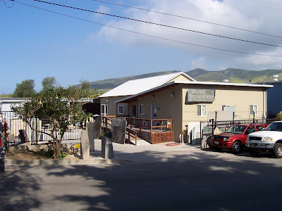our shop pic 1
