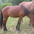 DSCN8186.JPG