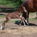 DSCN8295.JPG