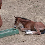 DSCN8350.JPG