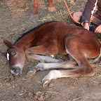 DSCN6952.JPG