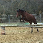 Uvalie-saut.jpg