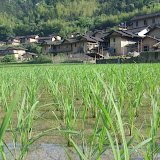 在希望的田野上