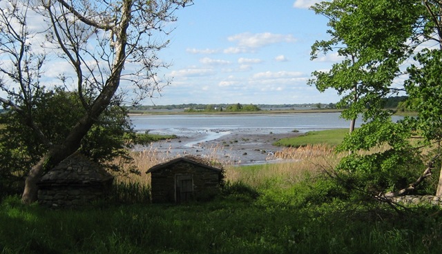 [Salt Marsh[2].jpg]