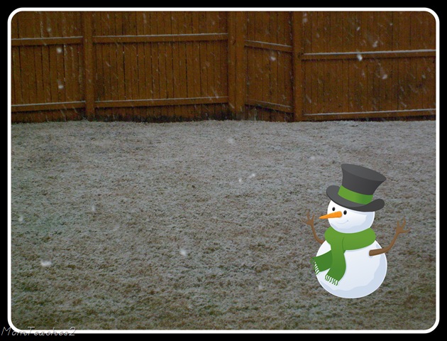[Snow 12-09[21].jpg]