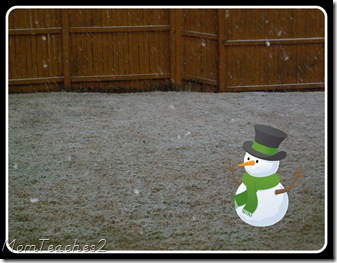 Snow 12-09