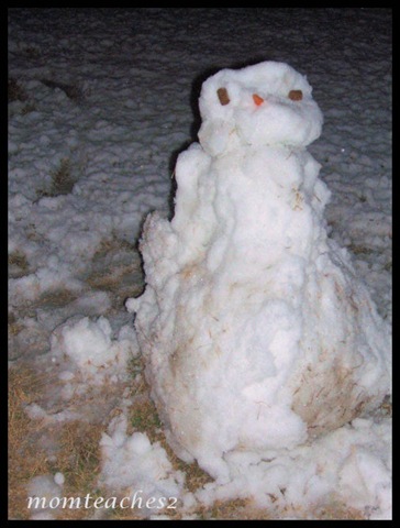 [Snowman[2].jpg]