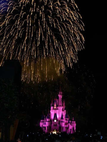 [Wishes Castle[3].jpg]