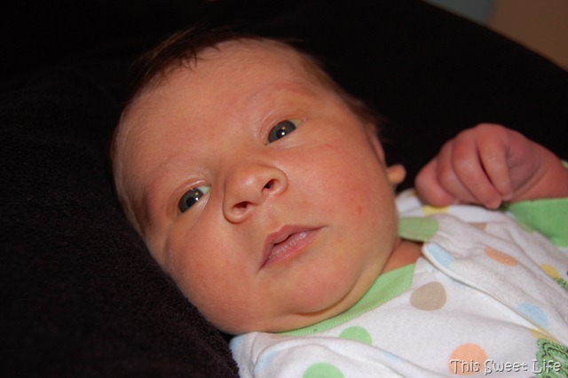 [DSC_0459[8].jpg]