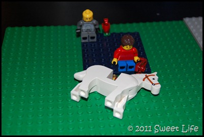 DSC_1409