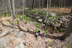 The river is flanked on either side by the most brutal and foul-smelling plants!
