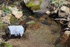 You know, while I'm at it, I think I'll partake in a little refreshment.  This water is nice and cold.