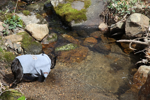 You know, while I'm at it, I think I'll partake in a little refreshment.  This water is nice and cold.