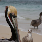 IMG_6766.JPG