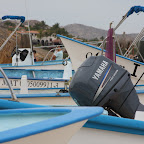 IMG_6783.JPG