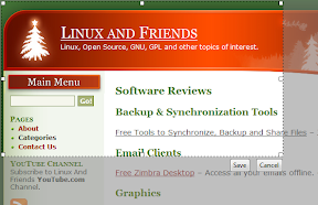 Capture a region of the web page