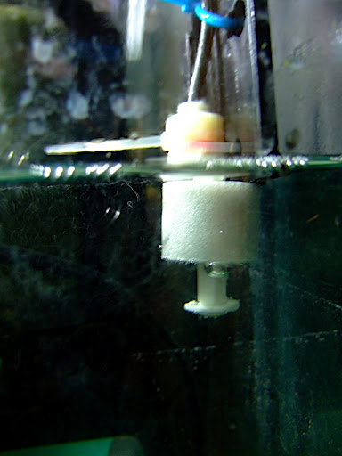flotteur de l'aquarium