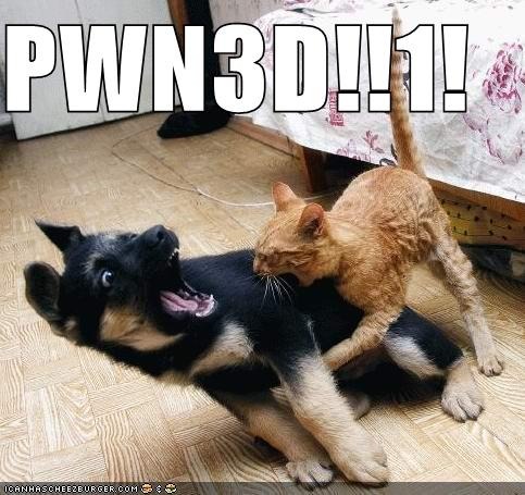 [funny-pictures-cat-pwns-dog[2].jpg]