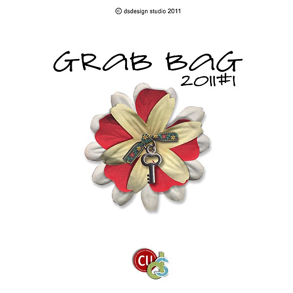 [DSDesign_GrabBag1_preview[7].jpg]