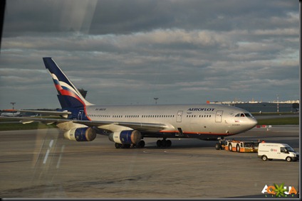 DSC_0029 DSC_0029
