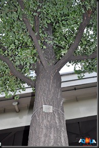 DSC_0101 DSC_0101