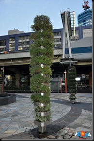 DSC_0109 DSC_0109