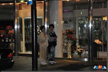 DSC_0206 DSC_0206