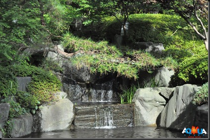 DSC_0701 DSC_0701