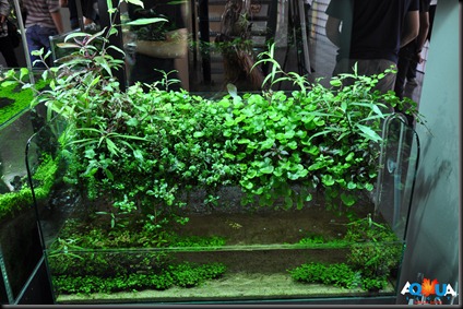 DSC_0830 DSC_0830