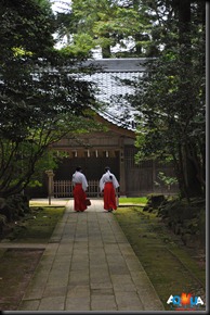 DSC_0994 DSC_0994