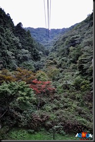 DSC_1007 DSC_1007