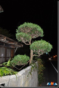 DSC_0072 DSC_0072