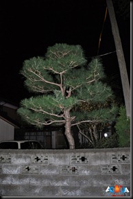 DSC_0076 DSC_0076