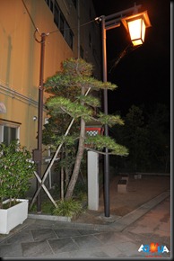 DSC_0063 DSC_0063