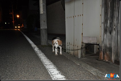 DSC_0080 DSC_0080