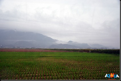 DSC_0007 DSC_0007