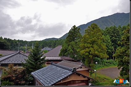 DSC_0087_good DSC_0087_good