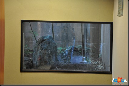 DSC_0089 DSC_0089