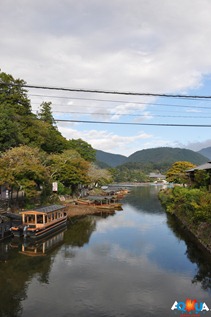 DSC_0104 DSC_0104