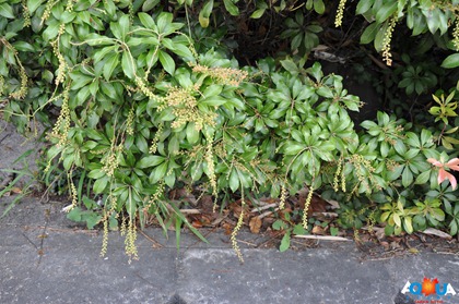 DSC_0129 DSC_0129