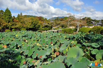 DSC_0180 DSC_0180