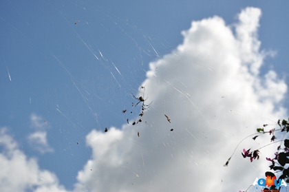 DSC_0259 DSC_0259