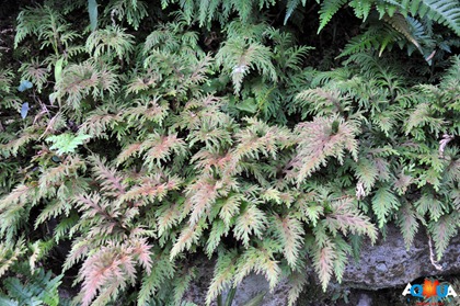 DSC_0848 DSC_0848