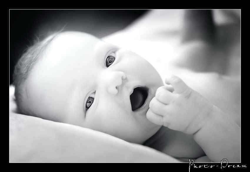 [DVM_4342asm[4].jpg]