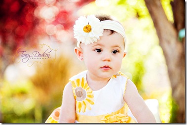 6 Month Baby Tracy Dodson PHotography_007