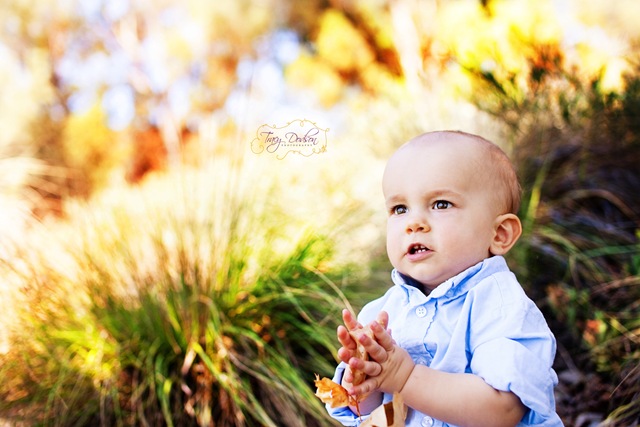 [8 month baby portrait[3].jpg]