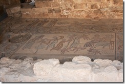 IMG_8648(1) IMG_8648(1)